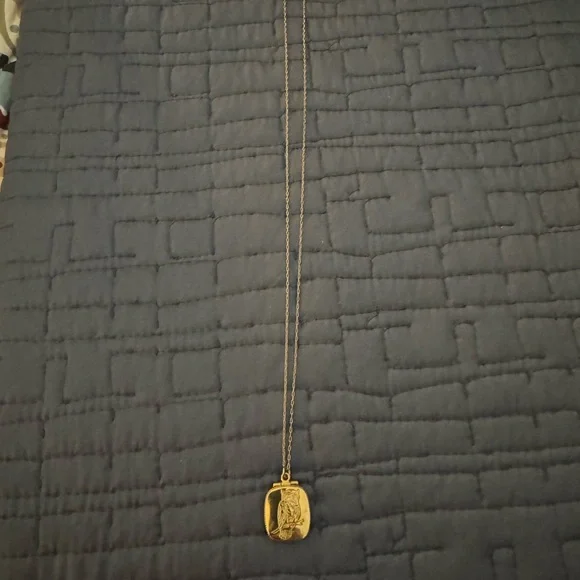 J. Crew Gold Owl Pendant Necklace 24” with Locket - Picture 3 of 5